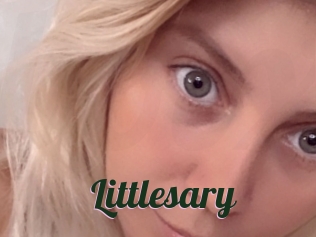 Littlesary