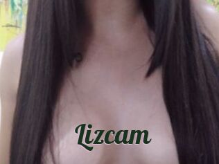 Lizcam