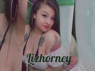 Lizhorney