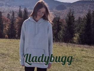 Lladybugg