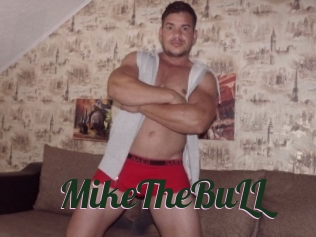 MikeTheBuLL