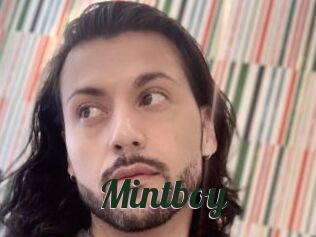 Mintboy