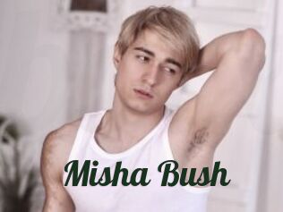 Misha_Bush