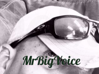 MrBigVoice