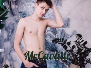 MrCavalli