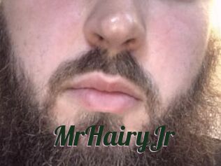MrHairyJr