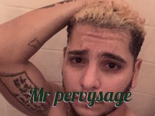 Mr_pervysage