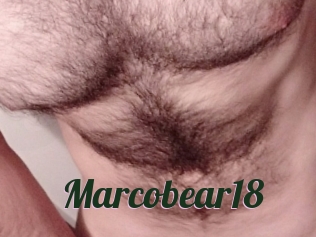 Marcobear18