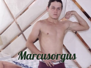 Marcusorgus