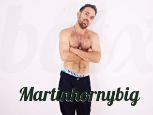 Martinhornybig