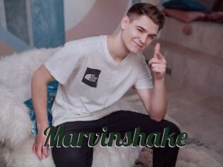 Marvinshake