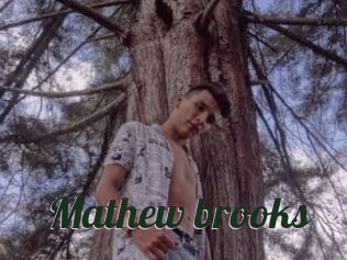 Mathew_brooks