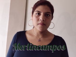 Merlincampos