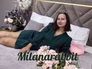 Milanarabbit