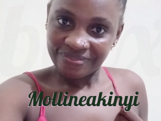 Mollineakinyi