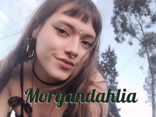 Morgandahlia