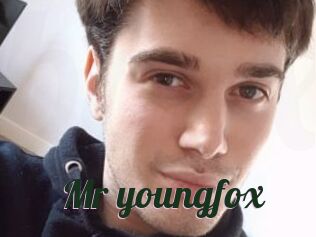 Mr_youngfox