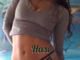 Hase