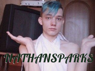 NATHAN_SPARKS