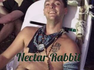 Nectar_Rabbit