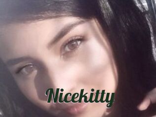 Nicekitty