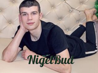 NigelBud