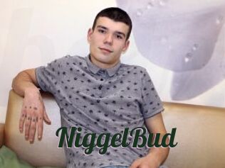 NiggelBud