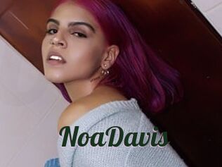 NoaDavis