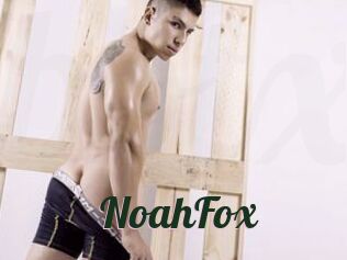 NoahFox