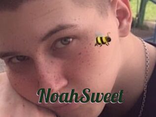 NoahSweet