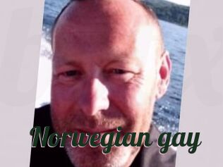 Norwegian_gay