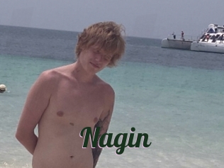 Nagin