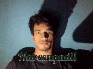 Naveengadil