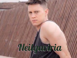 Neilgaviria