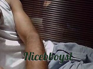 Nicebboysl