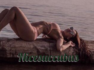 Nicesuccubus