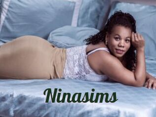 Ninasims