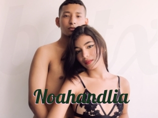 Noahandlia