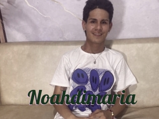 Noahdimaria