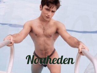 Noaheden