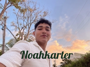 Noahkarter