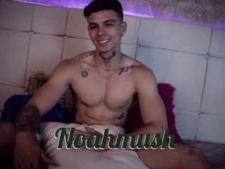 Noahmush