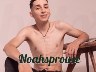 Noahsprouse