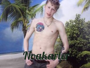 Noakarter