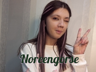 Noreengorse