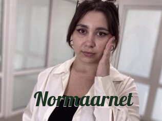 Normaarnet