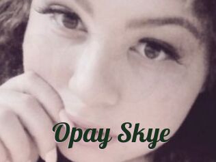 Opay_Skye