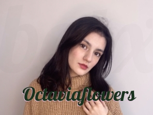 Octaviaflowers