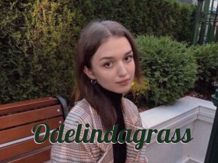Odelindagrass