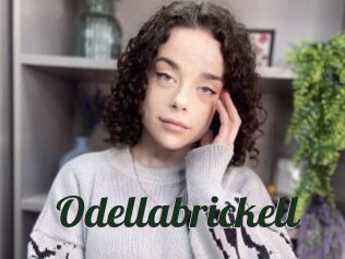 odellabrickell Bottin X